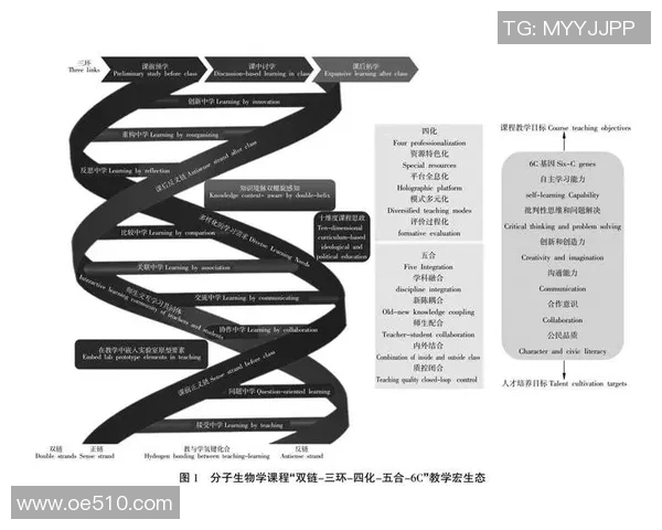 杭州篮球队技术分析与战术创新的深度探讨与展望