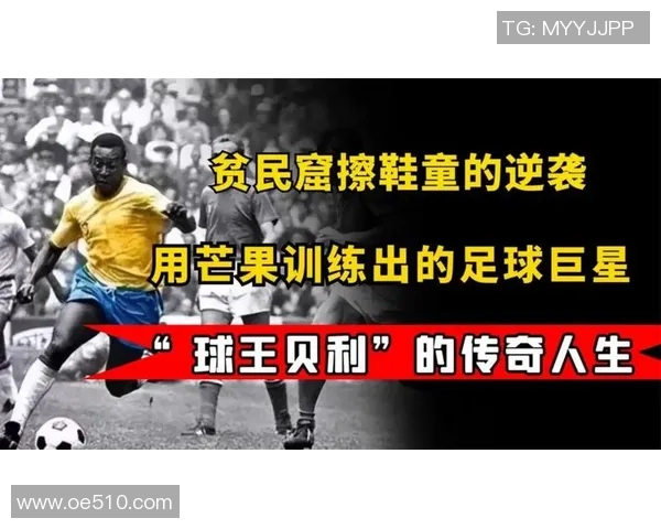 足球明星鸽子背后的故事与传奇人生揭秘